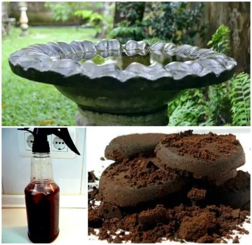 Можете ли вы положить золу в любой контейнер?