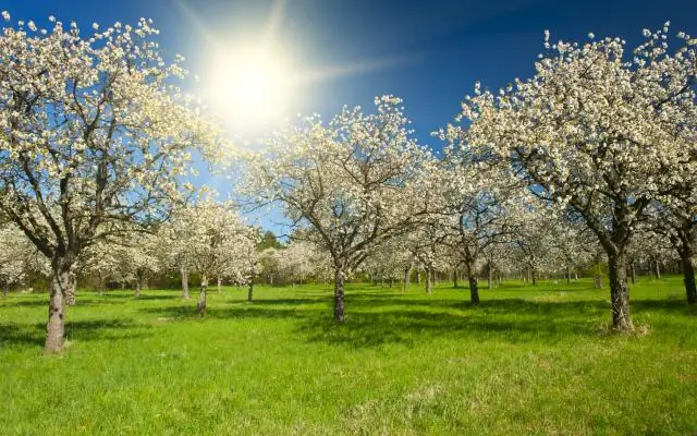 Что вы скажете о тосте для свадебного душа?