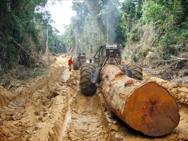Есть ли плантации в Миссисипи?
