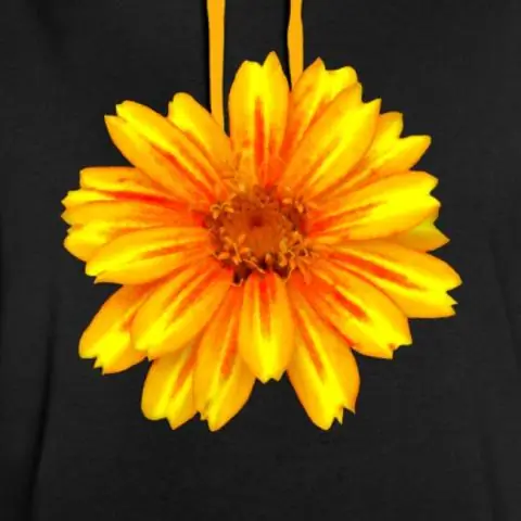 Что означают оранжевые розы с красными кончиками?