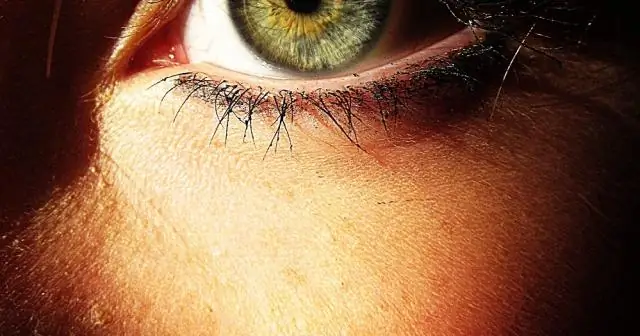 Что означают зеленые гвоздики?