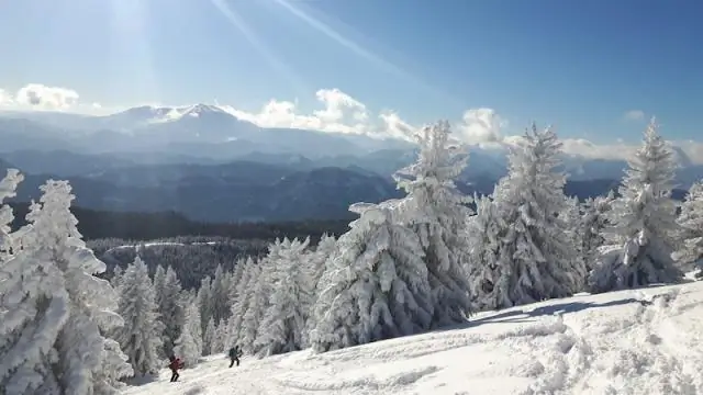 Чем привлекает окись углерода?