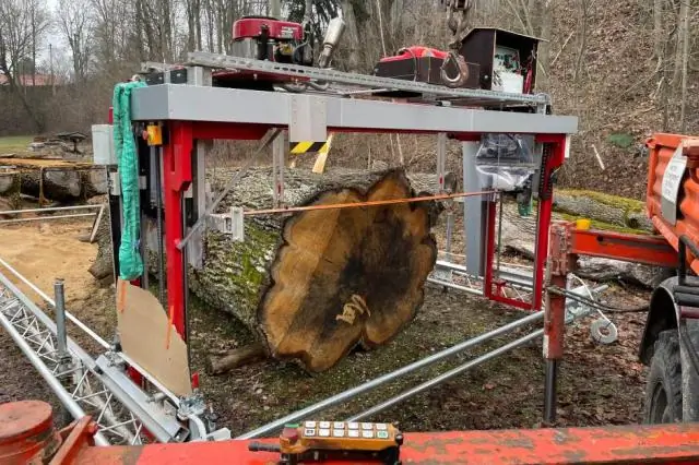 Можно ли спасти зараженный ясень?