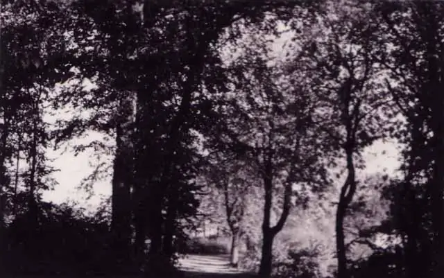 Какая дорога огибает озеро Тахо?