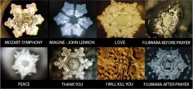 Как убить ползучую лантану?