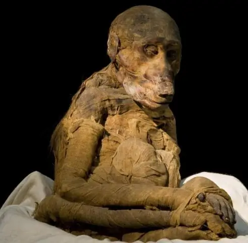 Были ли мумифицированы бедные египтяне?