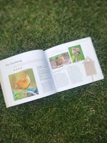 Как часто будет издавать звуковой сигнал детектор угарного газа?