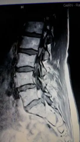 Что можно сделать осенью для детей?