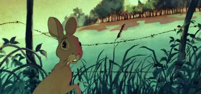 Чему учил Джон Адамс?