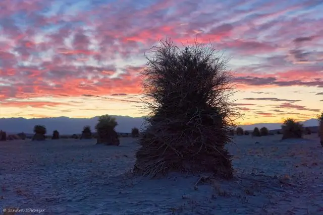 Чего я не должен пропустить в Долине Смерти?