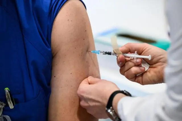 Сколько времени нужно для доставки бунтующего общества?