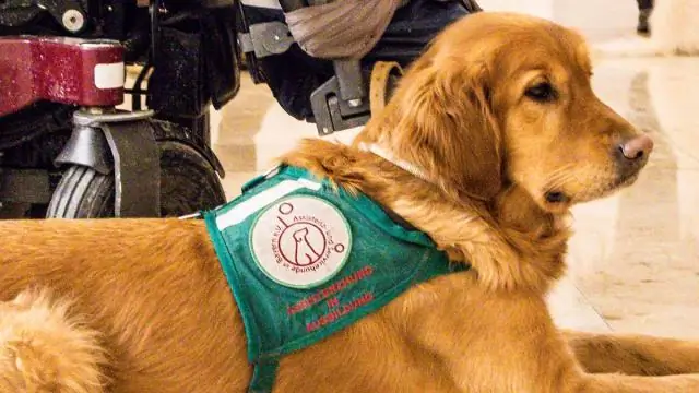 Для чего используется нитрат кальция и аммония?