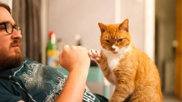 Что скажешь крестнице?