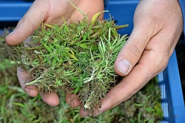 Какой портативный детектор угарного газа самый лучший?