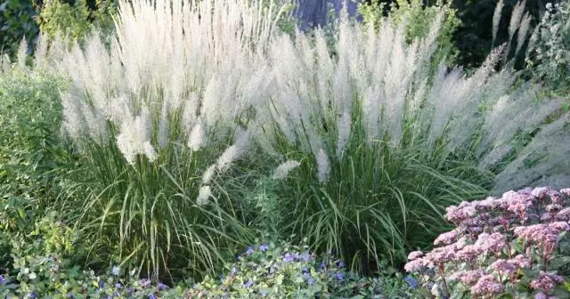 Какой балл ACT вам нужен для Крейтона?