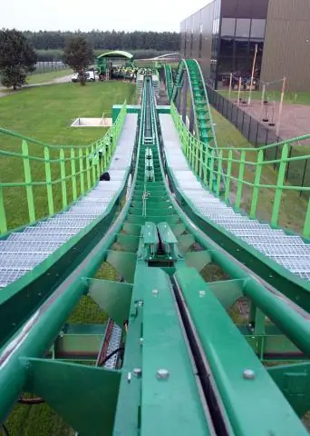 Во что превращается цикада?