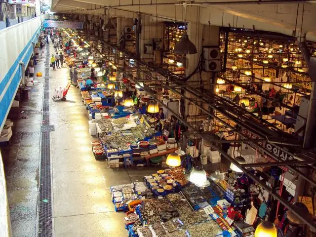 Чем отличается морской слизняк от морского огурца?