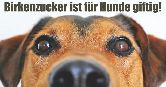 Катальпа ядовита для собак?