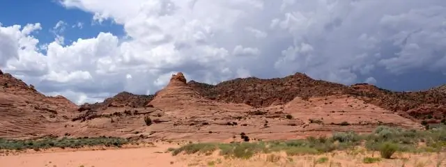 Почему Сент-Луис назван Сент-Луисом?