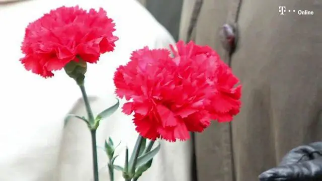 Откуда взялась традиция вешать рождественские чулки?