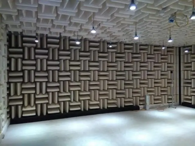 Чем важны сестры Гримке?