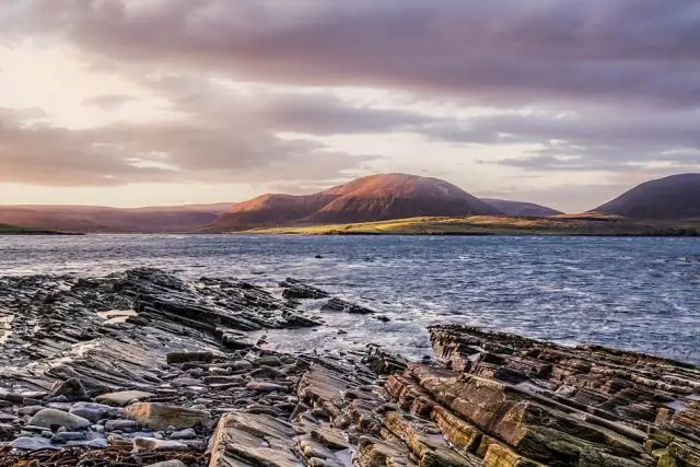 Настоящий ли цветок лотоса?