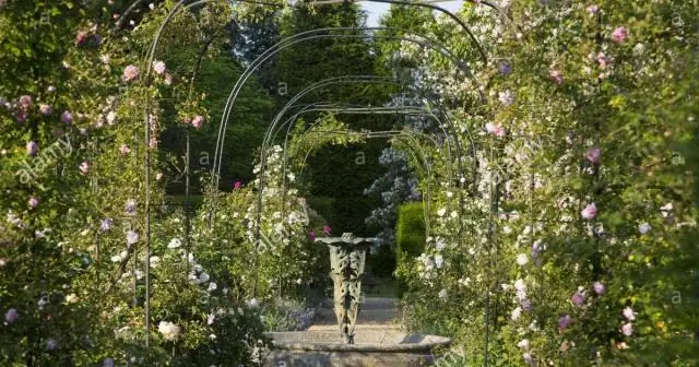 Открыт ли DMV Флориды в День Мартина Лютера Кинга?