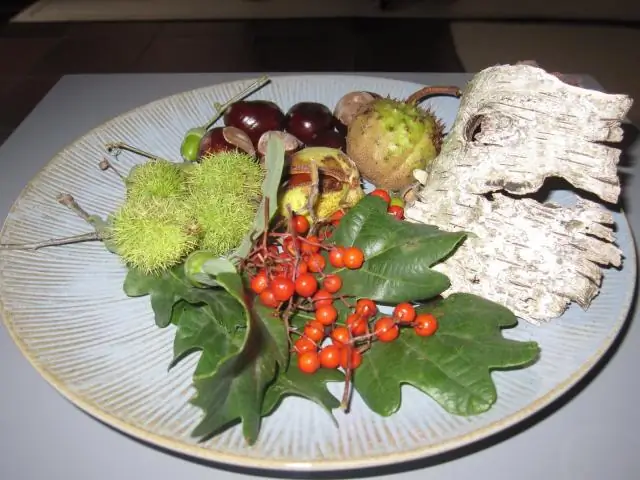 Можно ли привозить гибискус на зиму?