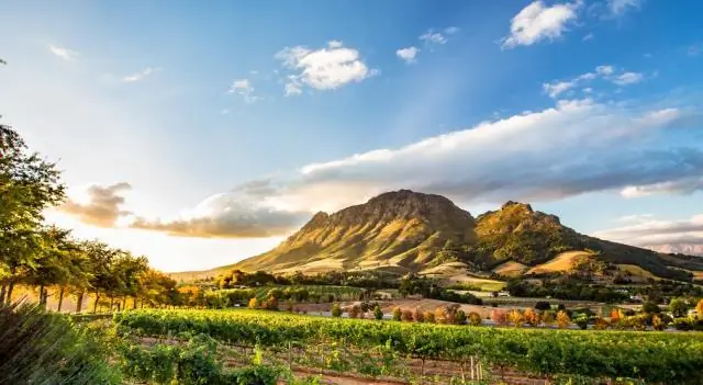 Вы даете призы за игры для свадебного душа?