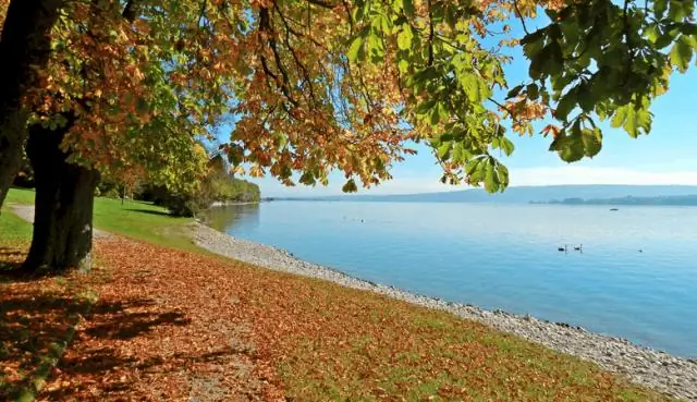 Что можно сделать в январе?