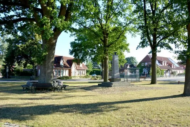 Как возникла традиция рождественской елки, откуда она зародилась?