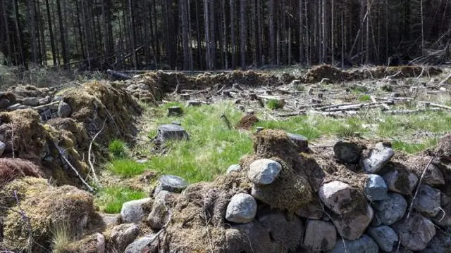 Почему Вильгельм Завоеватель должен быть королем?