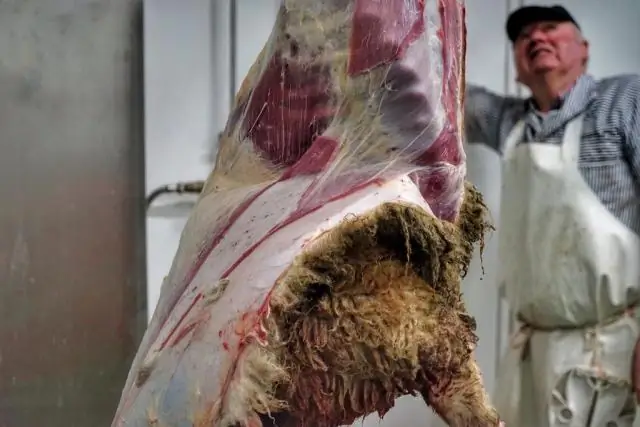 В каких битвах участвовал Эмброуз Бернсайд?