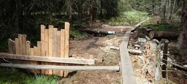 Сколько углерода хранится в торфе?