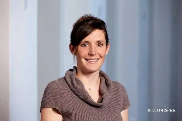 Сколько глав в «Мадам Бовари»?