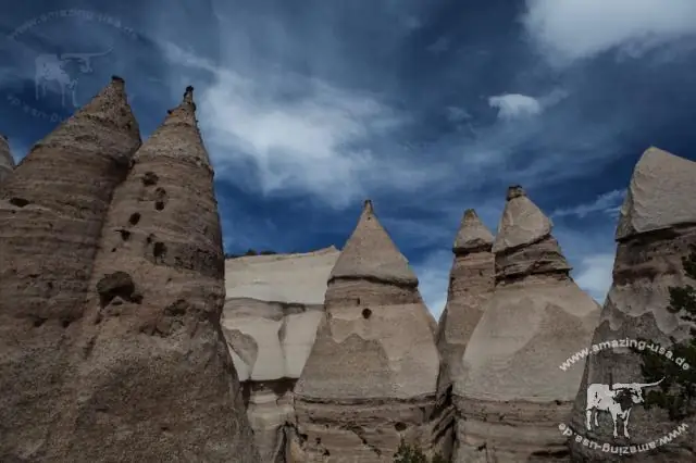 Разрешены ли собаки в государственном парке Фонтенбло?