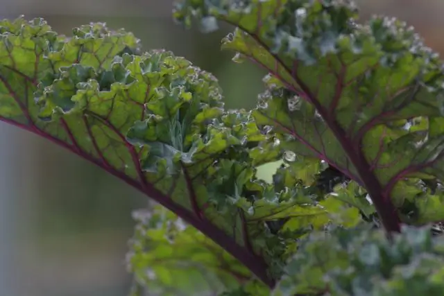 Как я могу сделать сюрприз девушке на годовщину нашей годовщины?