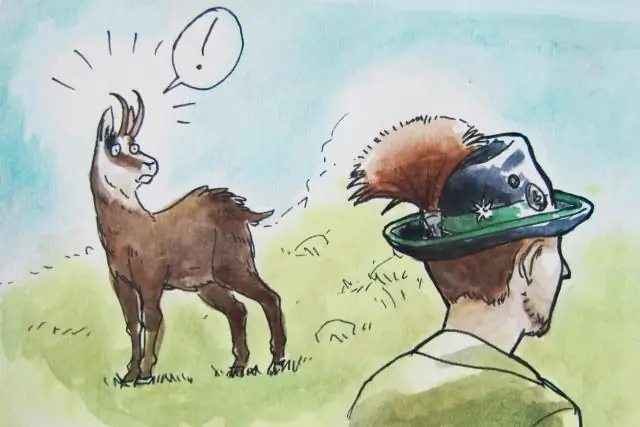 Как стать смотрителем в зоопарке?