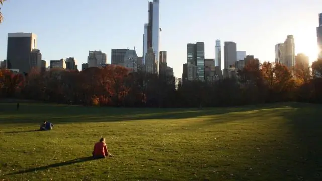 Что вообще есть в Центральном парке?