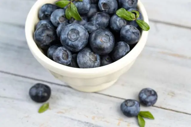 Растет ли дикая голубика в Огайо?