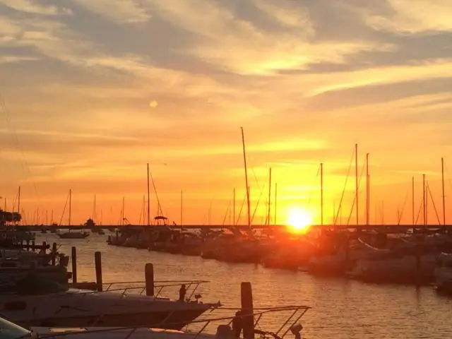 Сколько членов FFA в каждом штате?