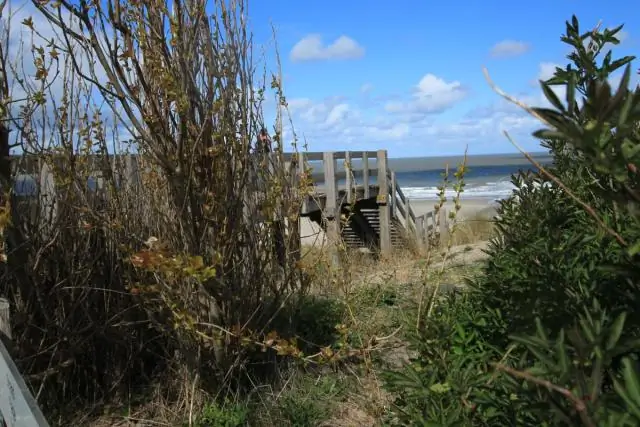 Как у вас вечеринка по случаю дня рождения на пляже?