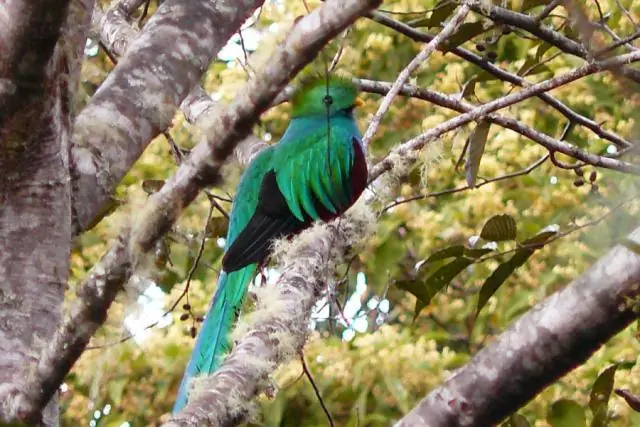 Что можно делать в Сан-Хосе?