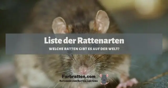 Какое значение имеет 2 ноября?