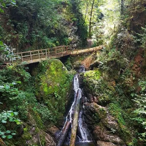 Что я могу сделать на юбилейный подарок?