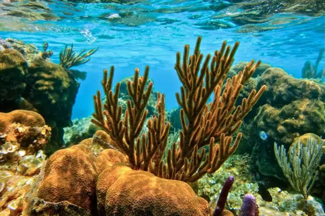 Какой самый крупный строительный проект в западном мире?