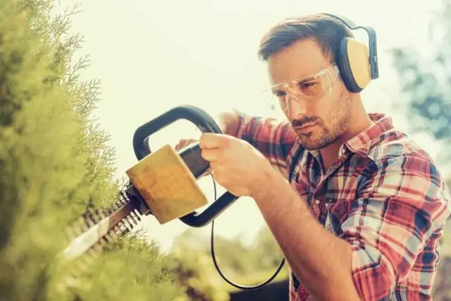 В чем разница между гидропоникой и аэропоной?