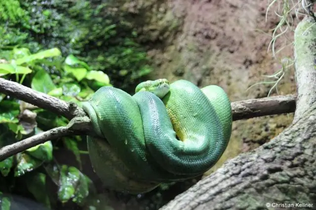 Как вы запоминаете о людях?