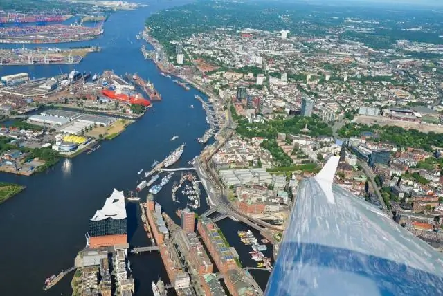 Можно ли есть корень одуванчика?