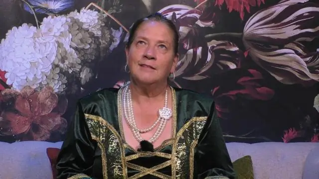 Кто выиграл любимого гостя на Big Brother 20?